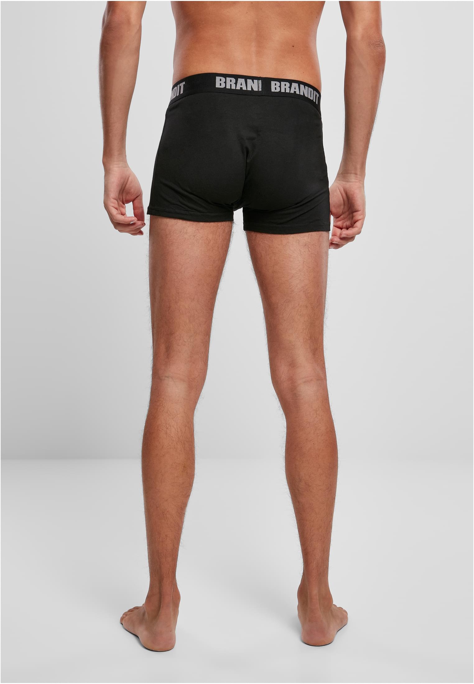 Boxershorts Logo 2-Pack wht/blk 3XL
 - variant image 7