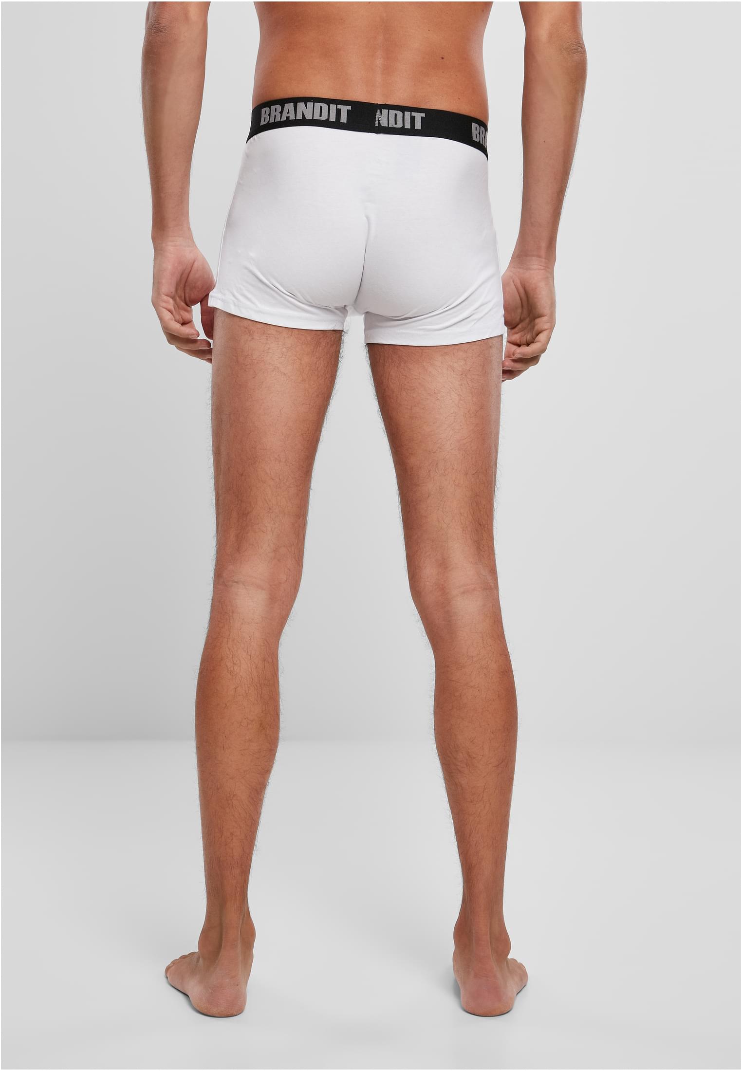 Boxershorts Logo 2-Pack wht/blk 3XL
 - variant image 2