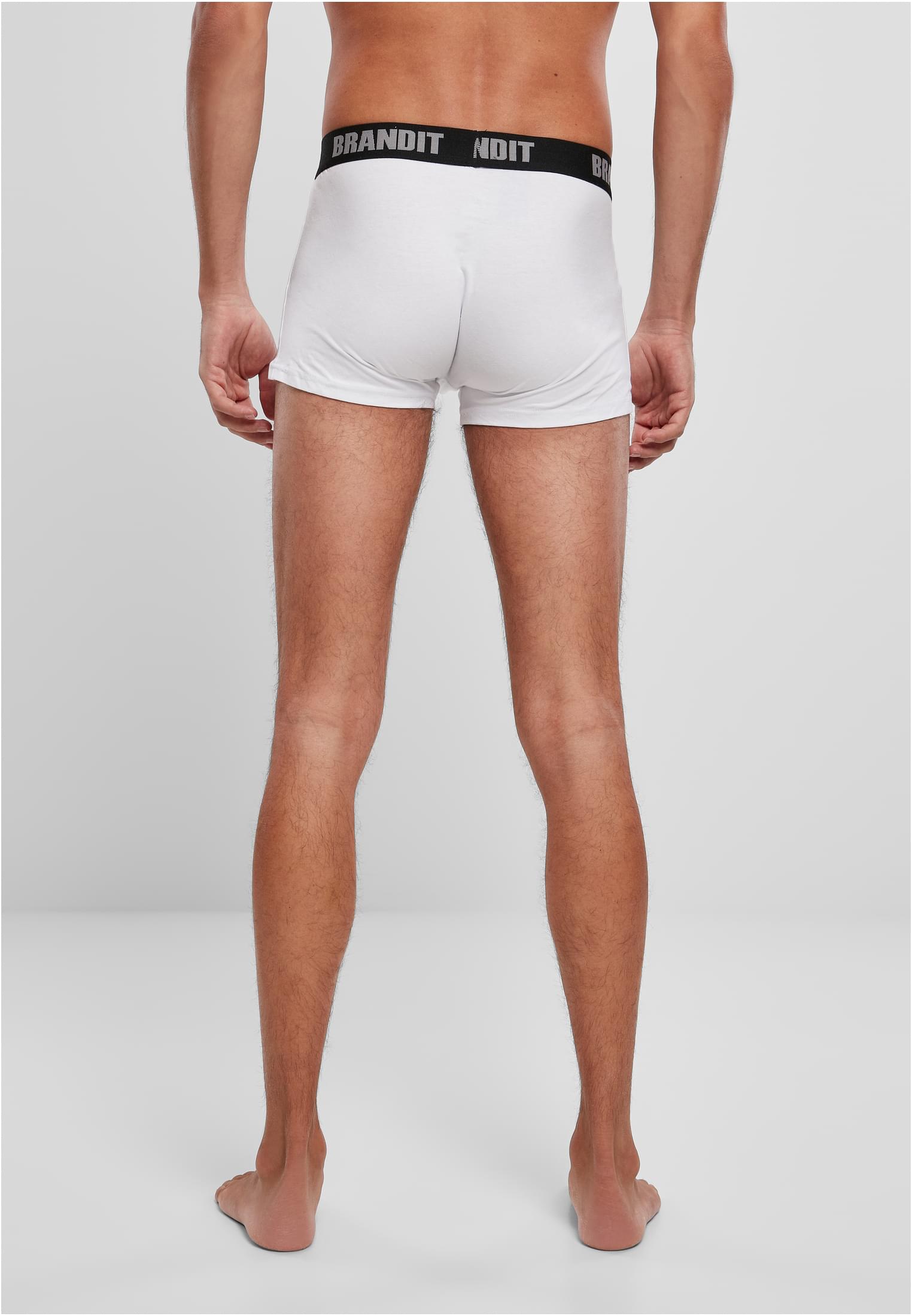 Boxershorts Logo 2-Pack wht/wht 3XL
 - variant image 2