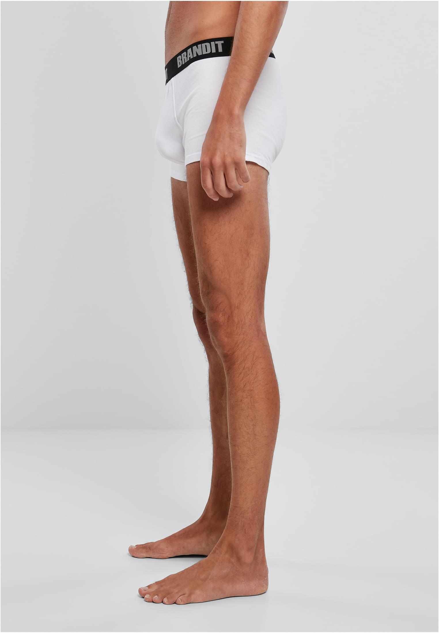 Boxershorts Logo 2-Pack wht/wht 3XL
 - variant image 1