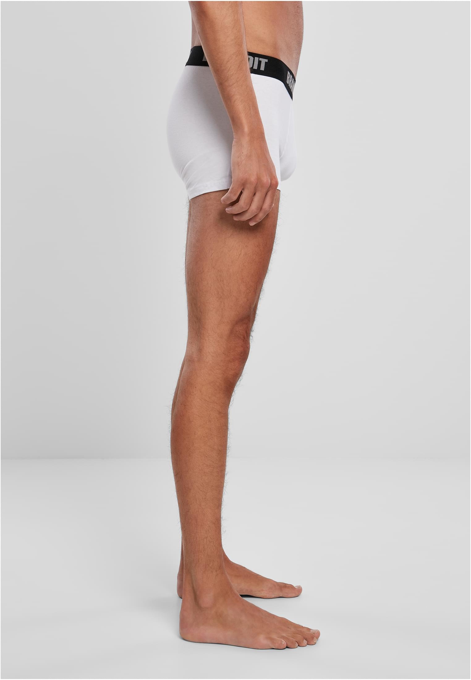 Boxershorts Logo 2-Pack wht/wht 3XL
 - variant image 3