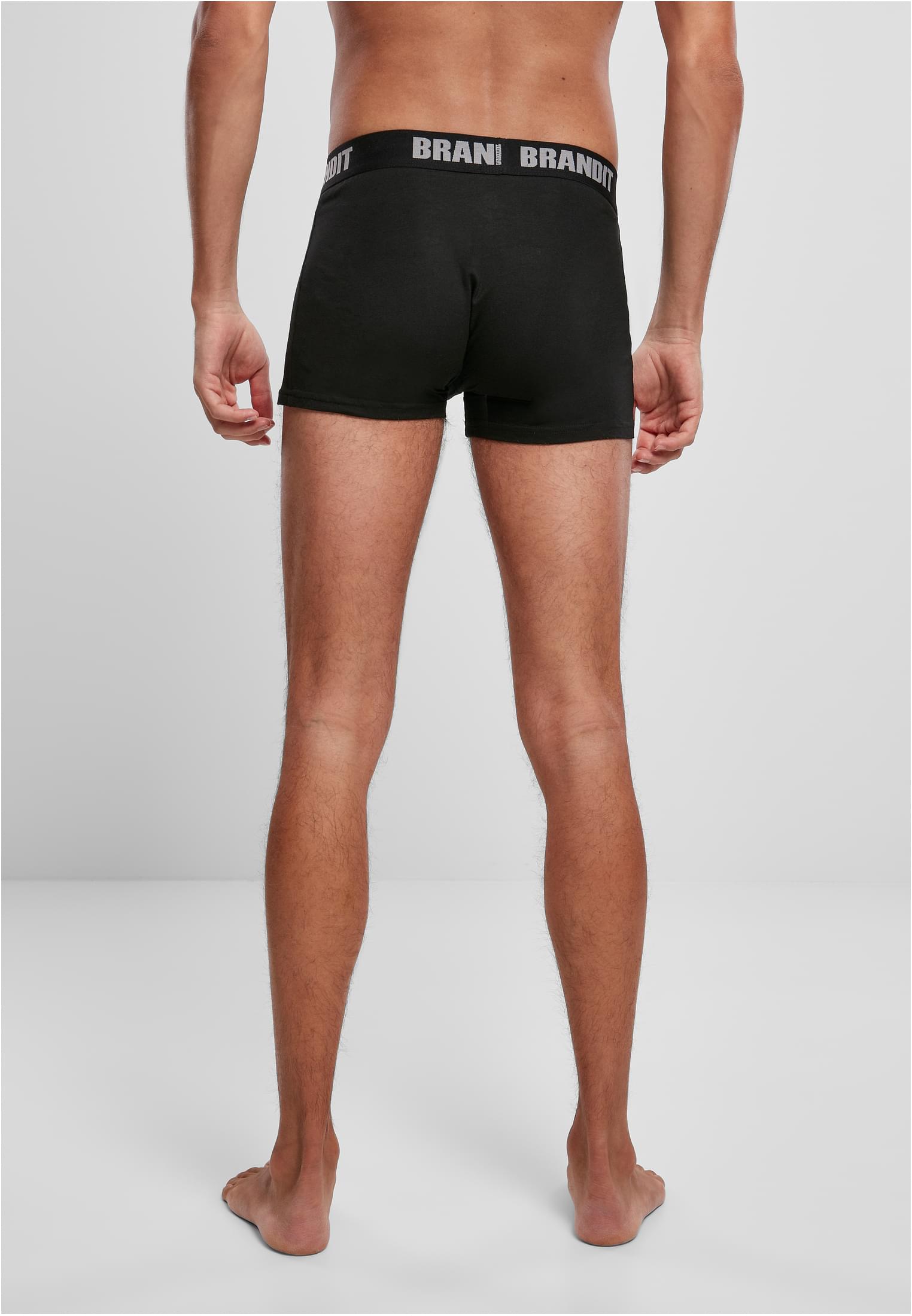 Boxershorts Logo 2-Pack Wald/Schwarz 3XL
 - variant image 8