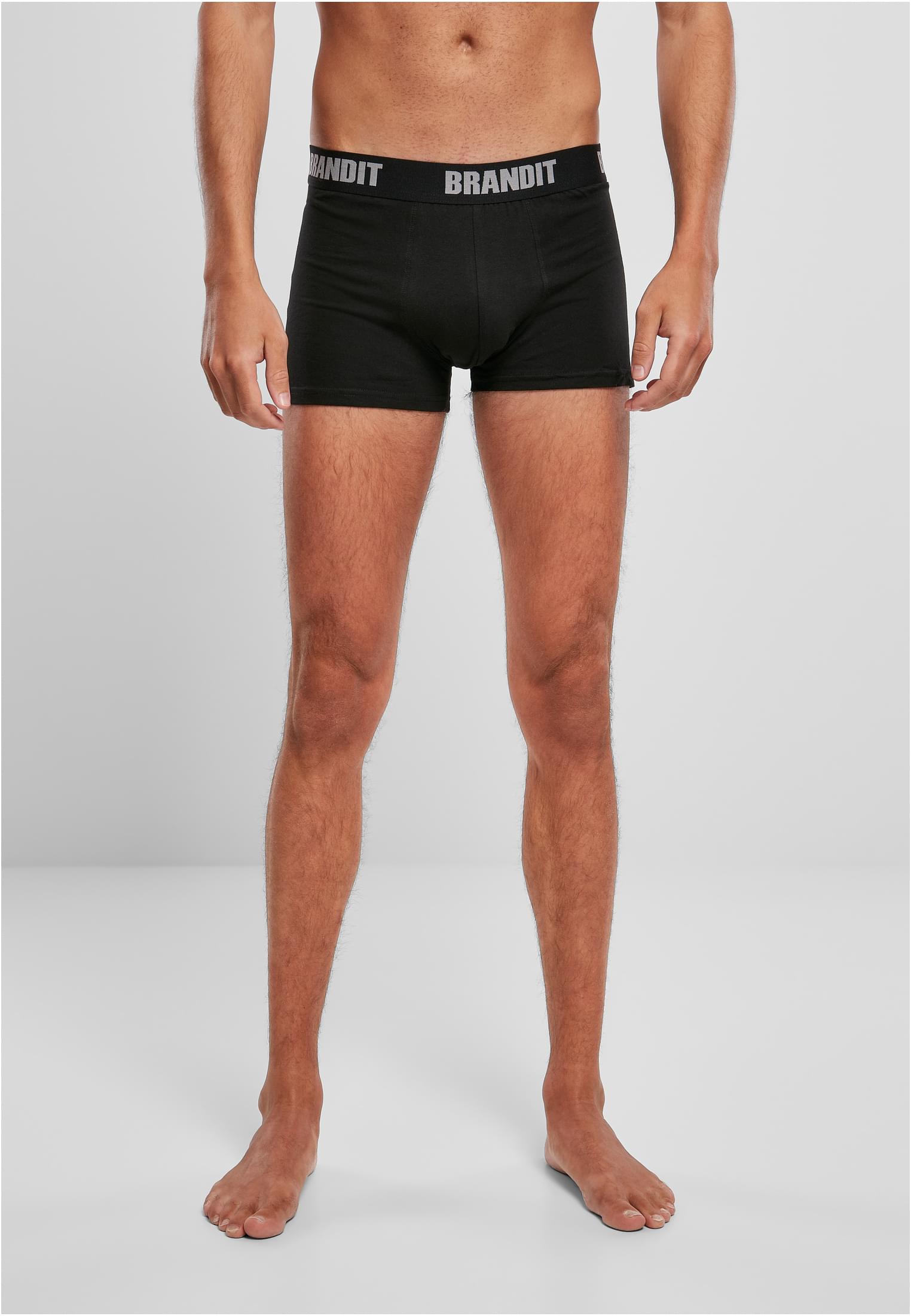 Boxershorts Logo 2-Pack Wald/Schwarz 3XL
 - variant image 5