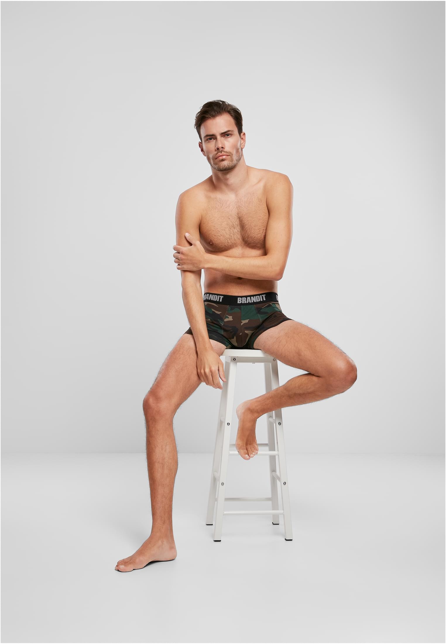 Boxershorts Logo 2-Pack woodland/darkcamo L
 - variant image 8