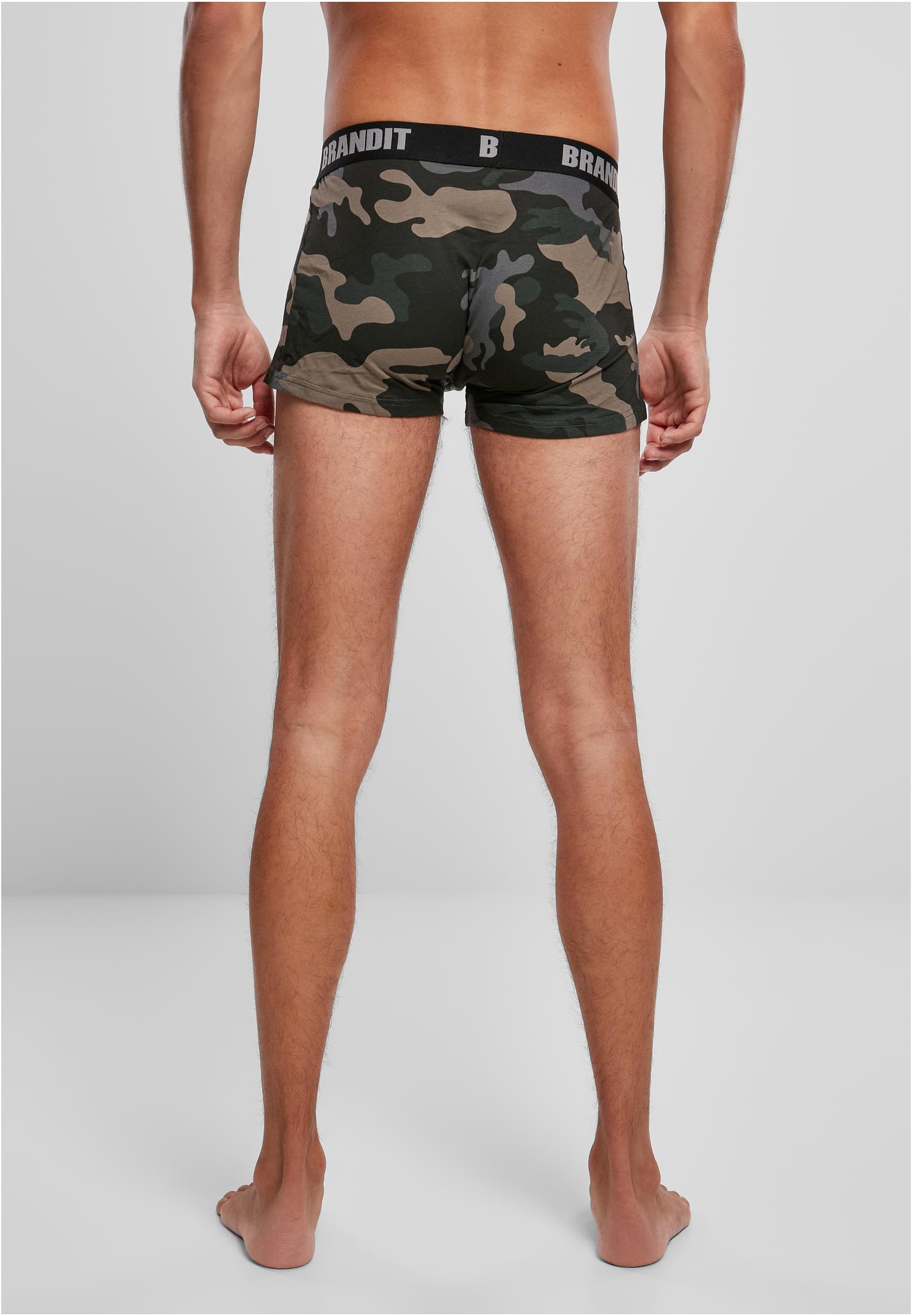 Boxershorts Logo 2-Pack woodland/darkcamo L
 - variant image 2