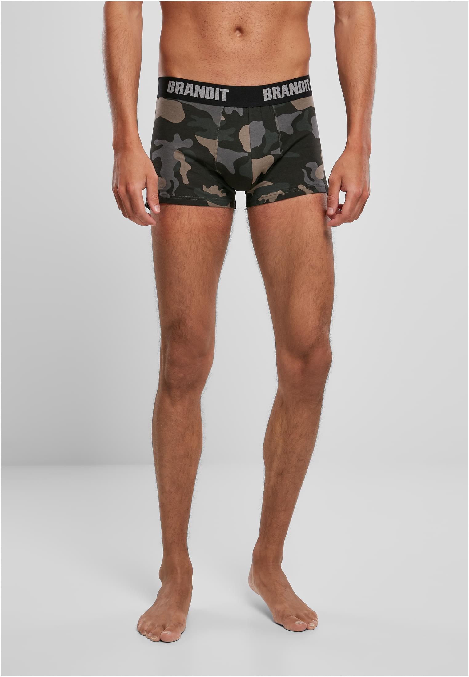 Boxershorts Logo 2-Pack woodland/darkcamo L
 - variant image 4