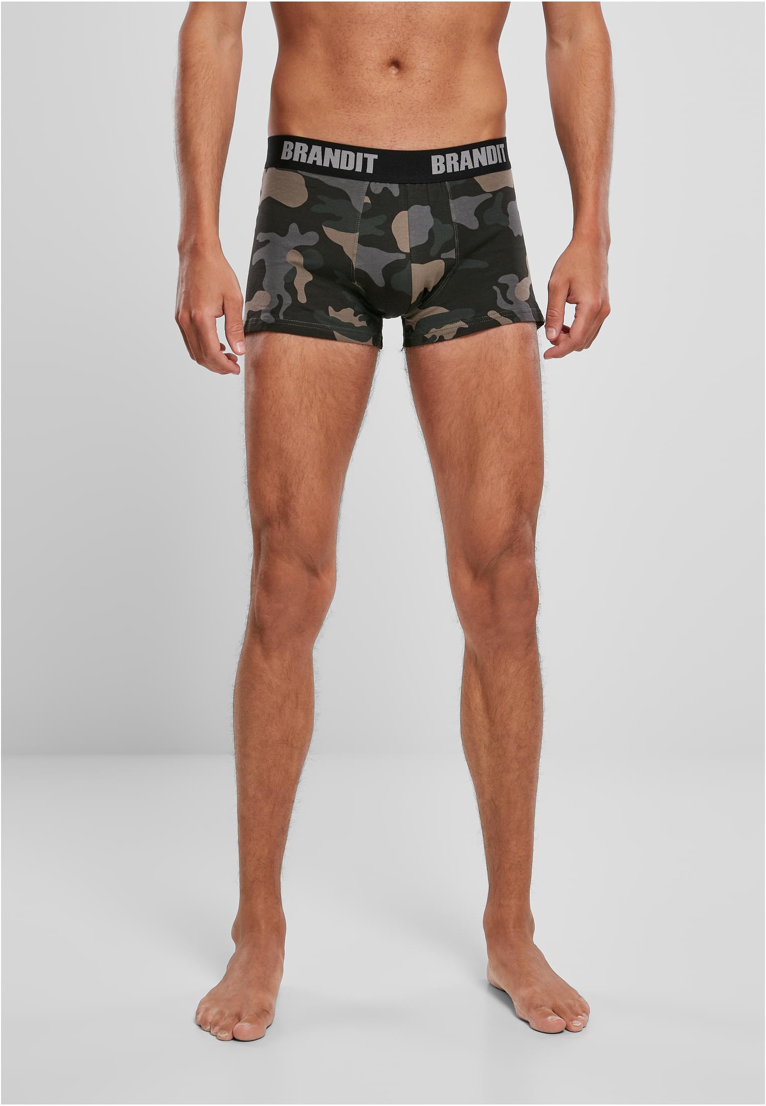 Boxershorts Logo 2-Pack woodland/darkcamo L
 - variant image 5