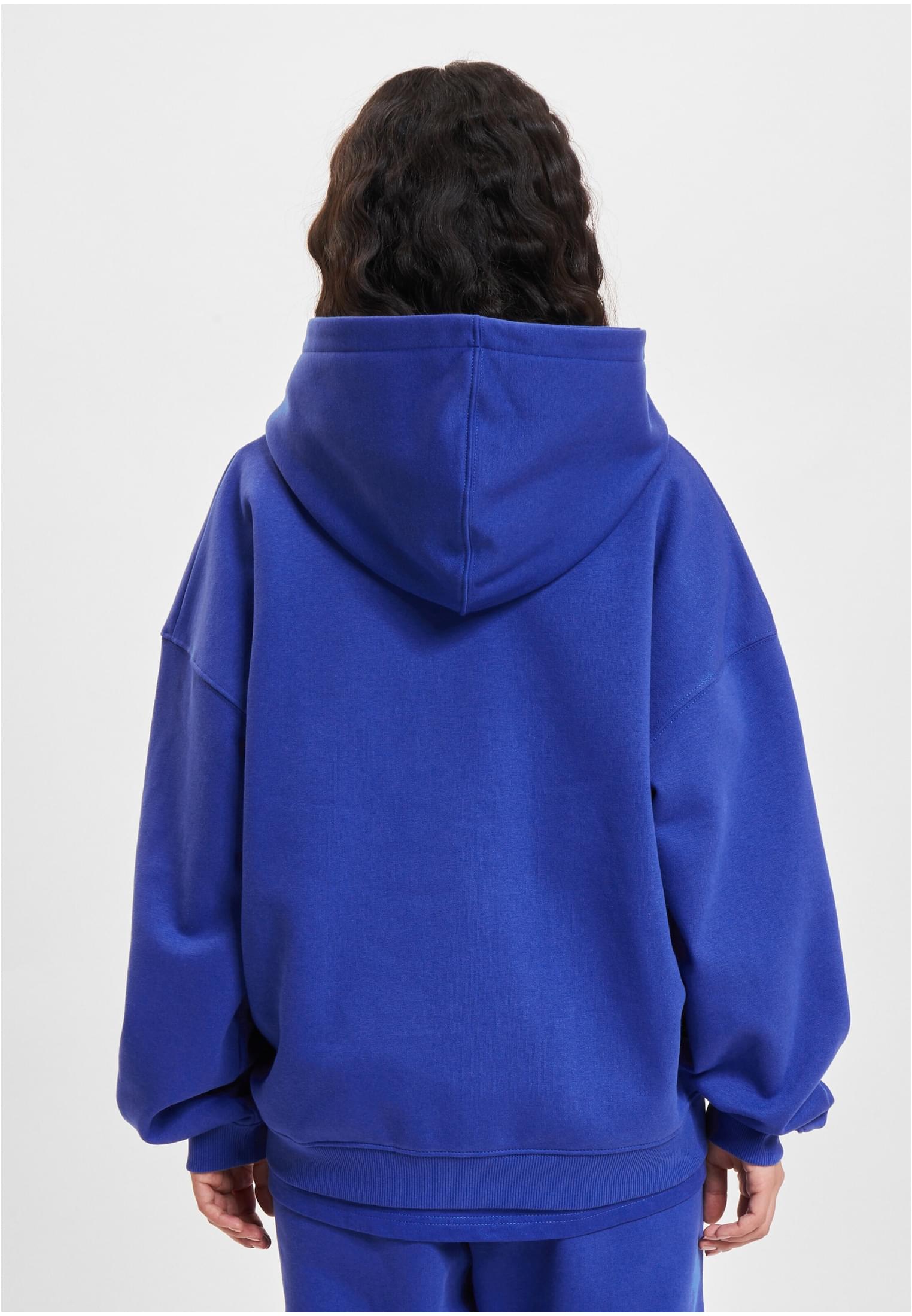 DEF Hoody cobalt blue L - variant image 1