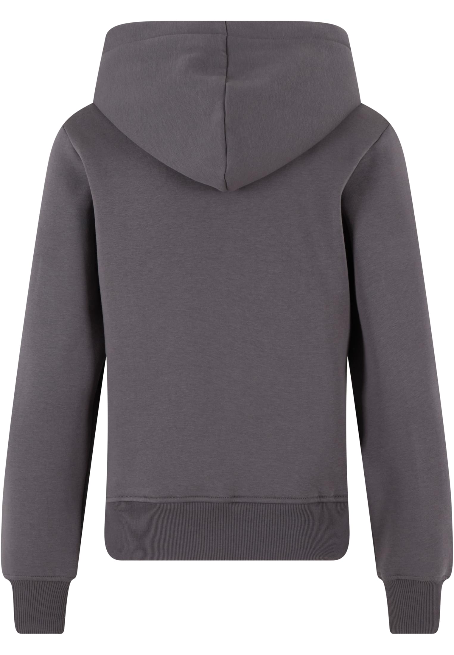 Femmes Coupe Regular sweat à capuche gris nuage 3XL
 - variant image 4