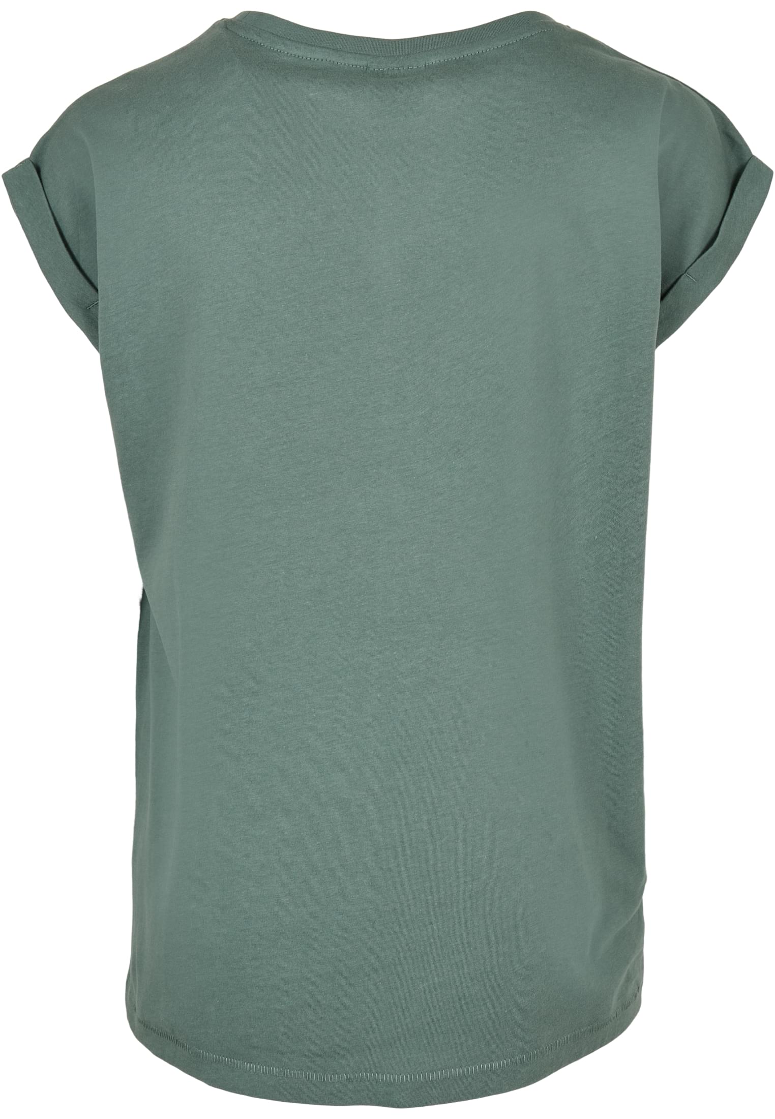 Ladies Extended Shoulder Tee paleleaf 3XL - variant image 6