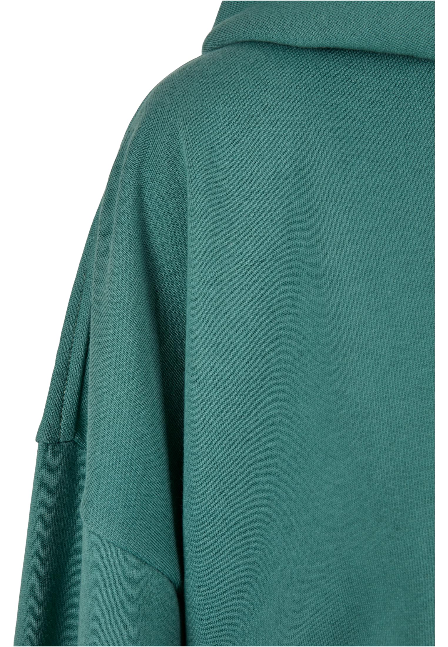 Ladies Organic Oversized Terry Hoody paleleaf M/L - variant image 8