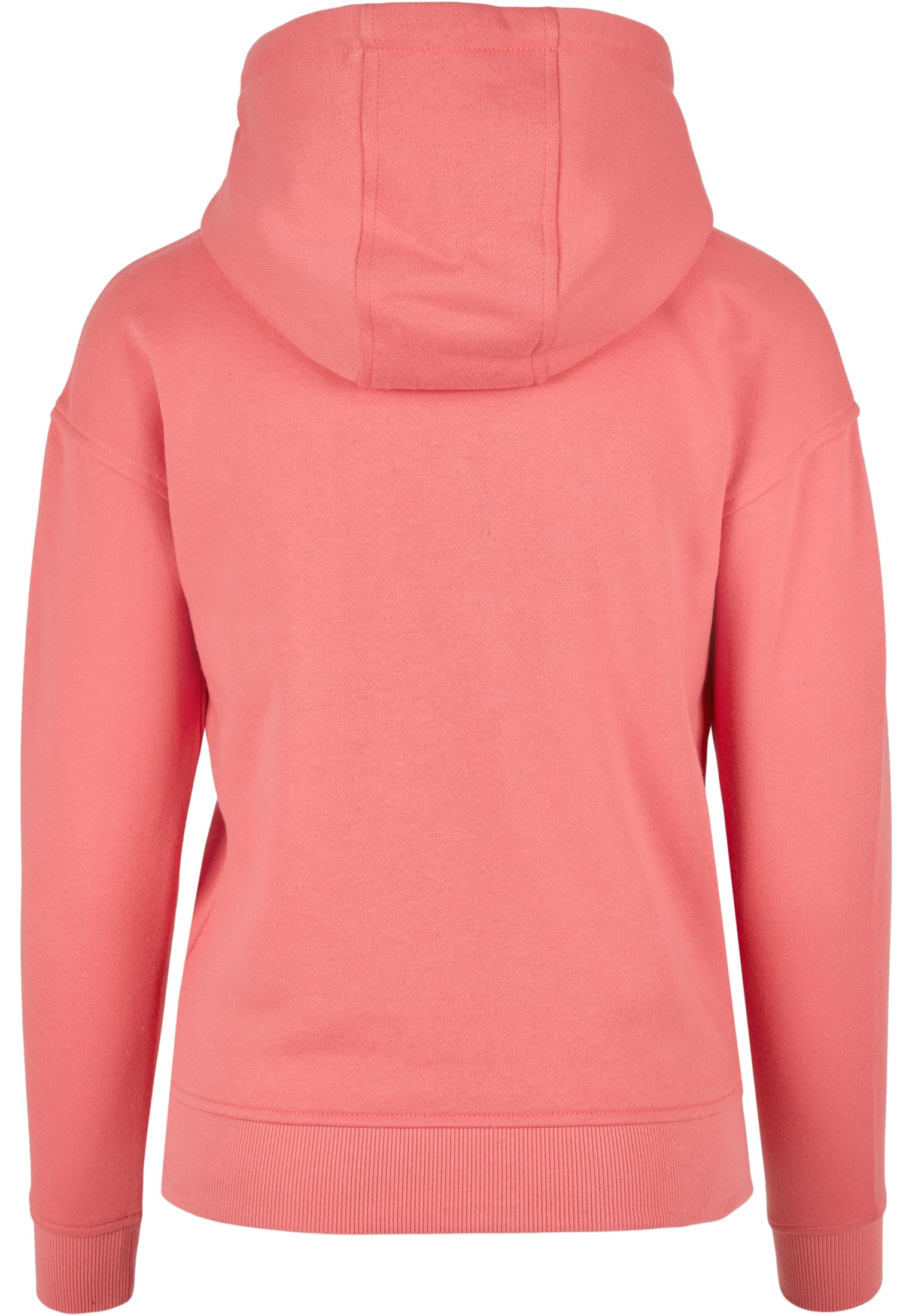 Ladies Hoody pale pink 3XL - variant image 5