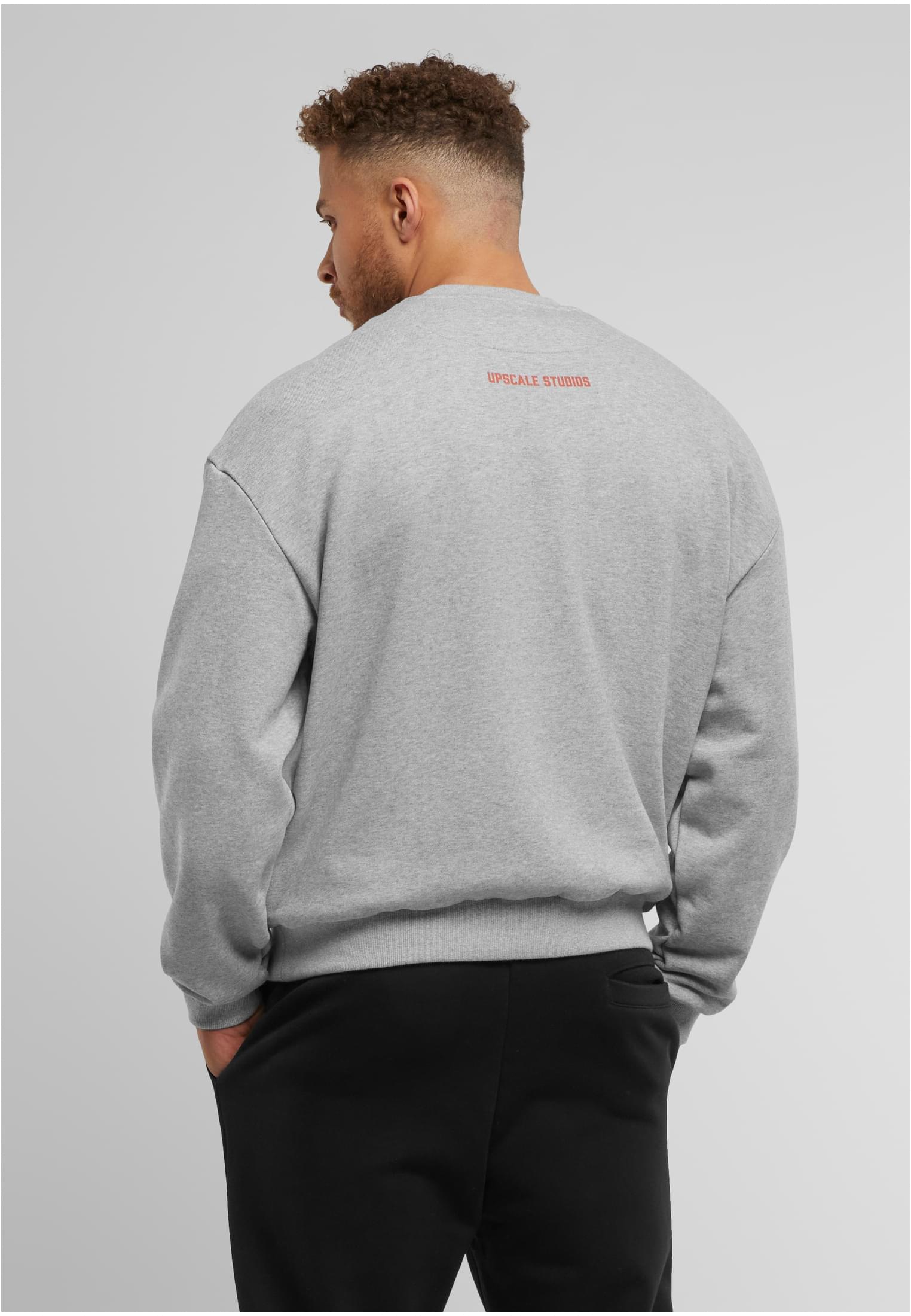Texas Longhorns Austin Oversize Crewneck heathergrey XS
 - variant image 1