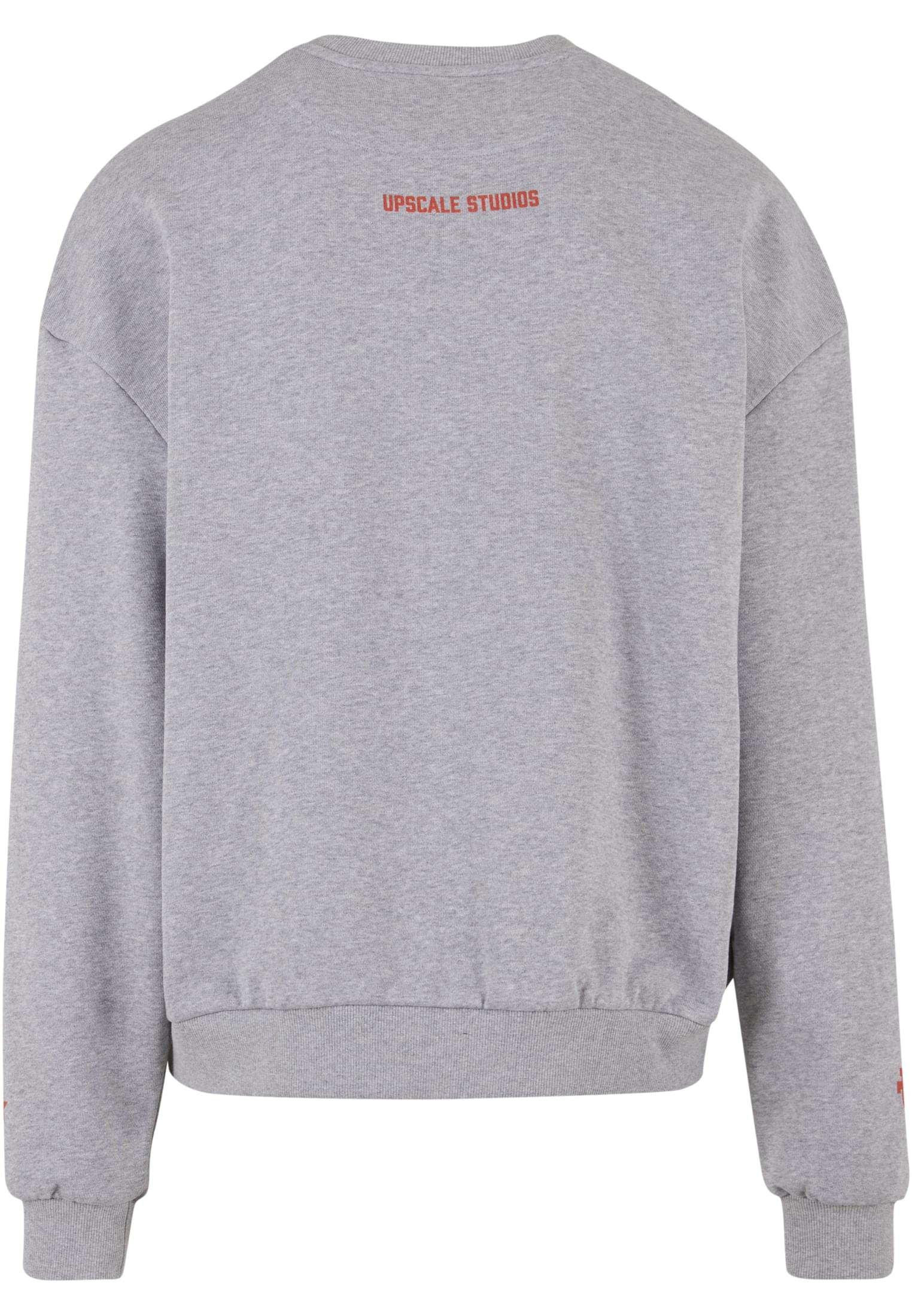 Texas Longhorns Austin Oversize Crewneck heathergrey XS
 - variant image 4