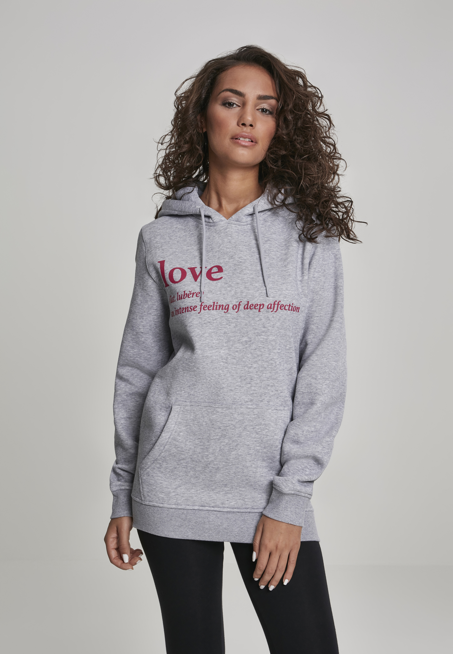 Ladies Love Definition Hoody h.grey L - variant image 1