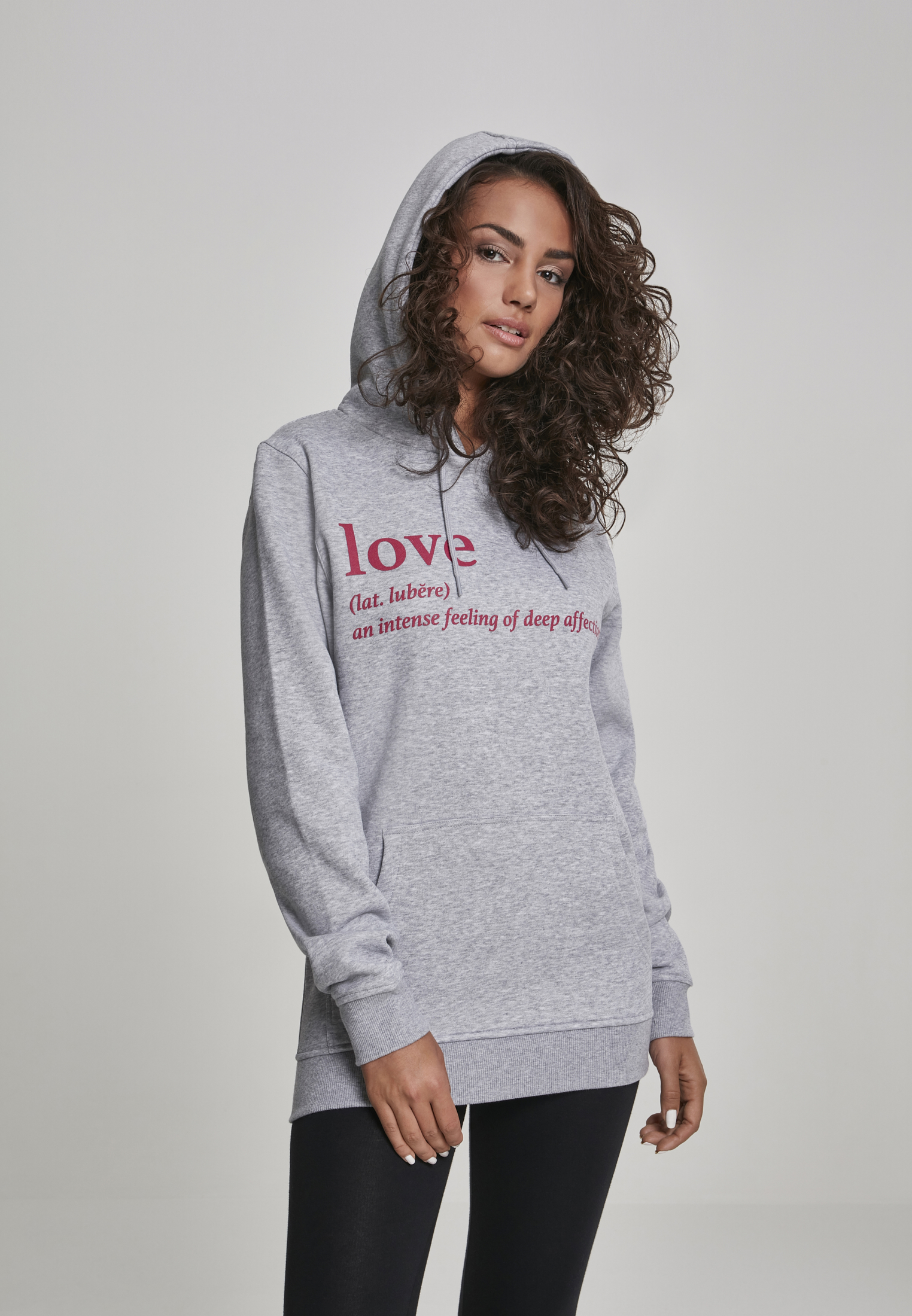 Ladies Love Definition Hoody h.grey L - variant image 6