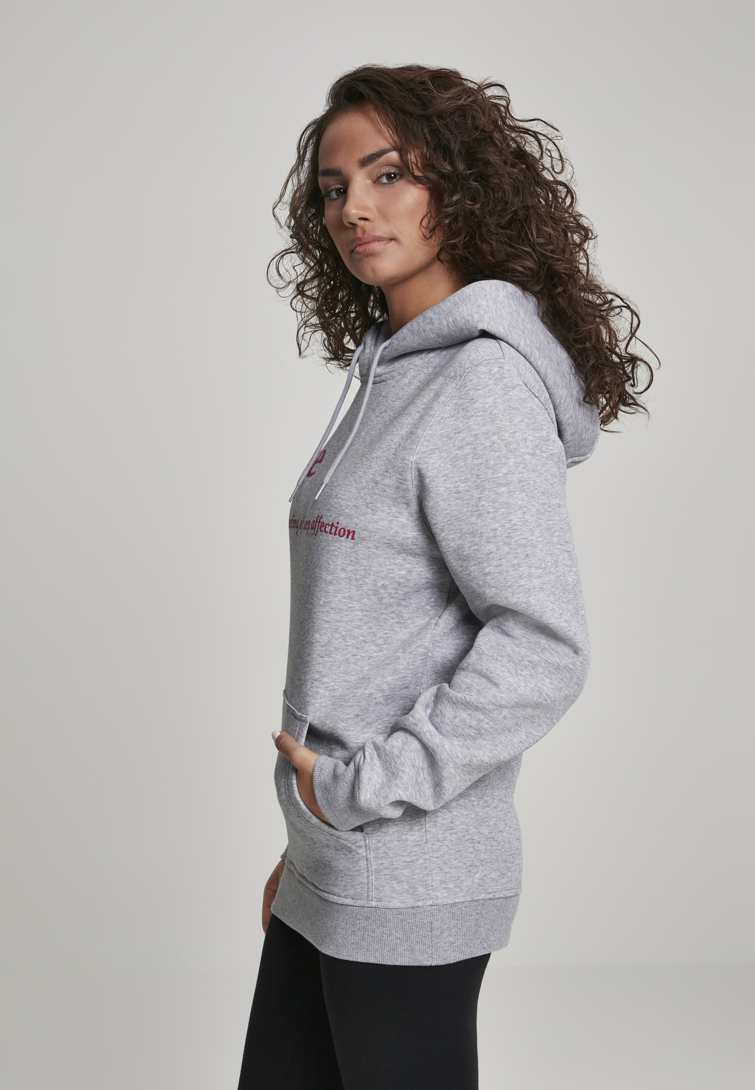 Ladies Love Definition Hoody h.grey L - variant image 3