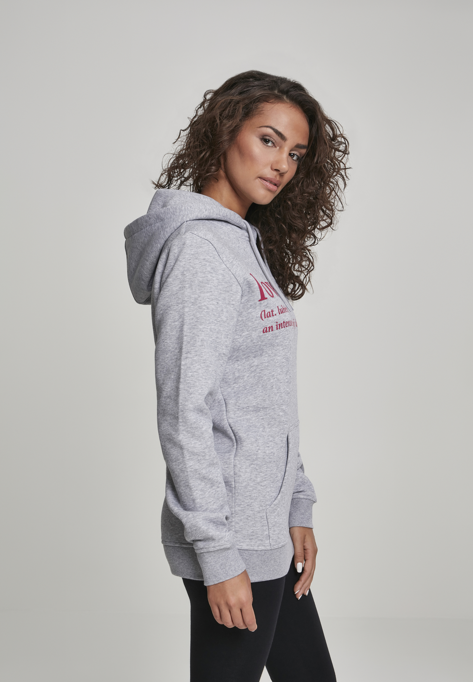 Ladies Love Definition Hoody h.grey L - variant image 4