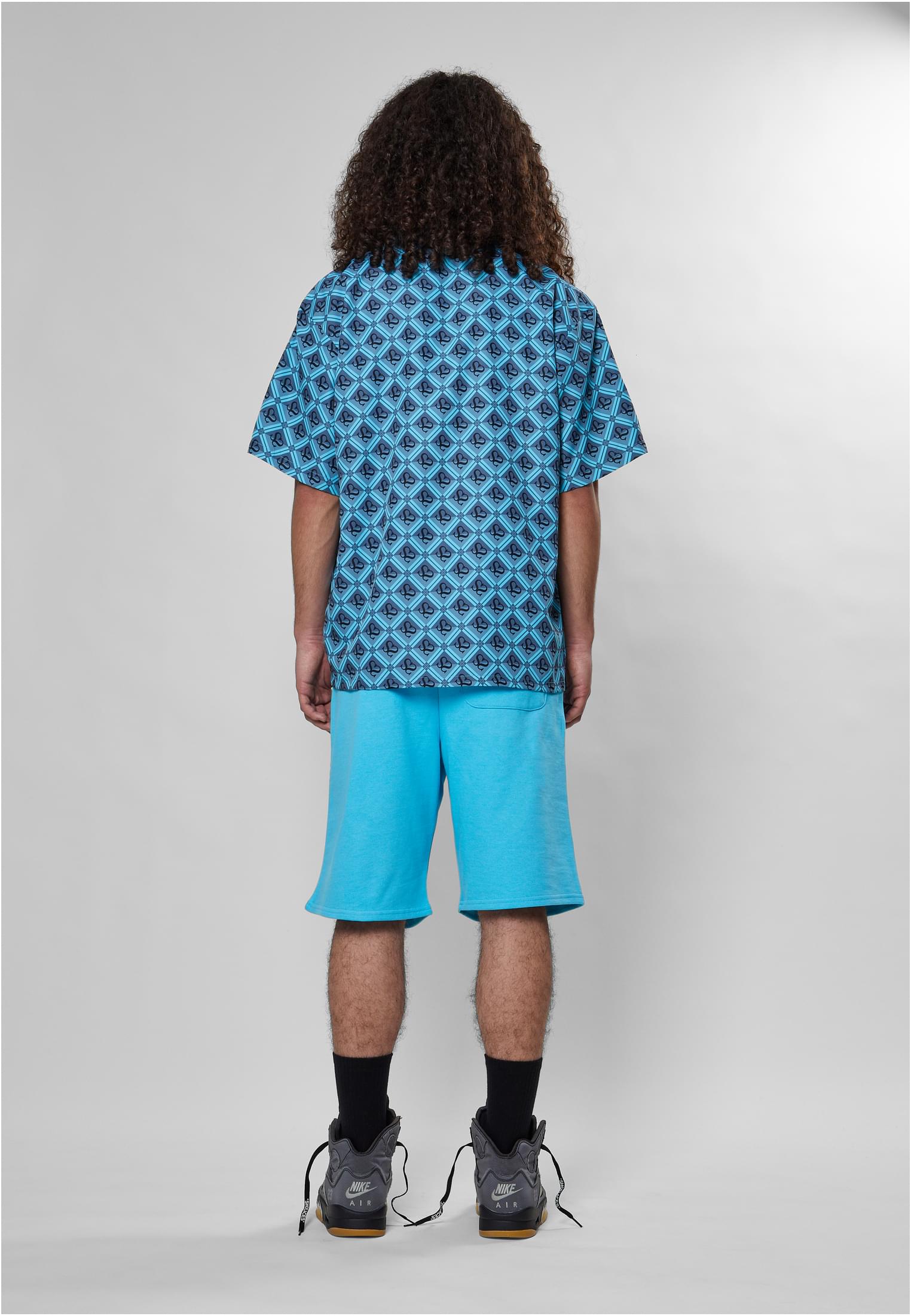  - variant image 6