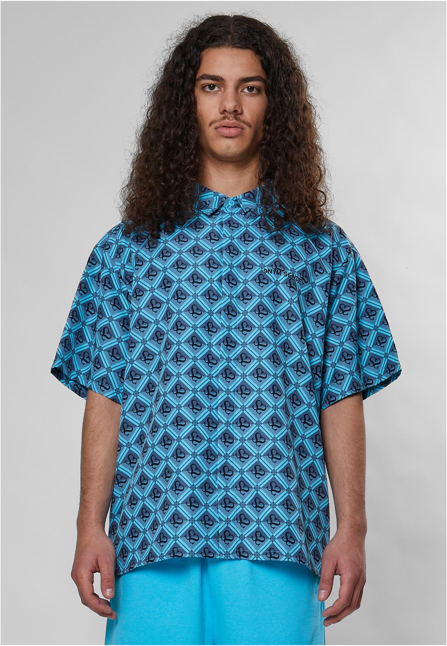  - alternate variant 2