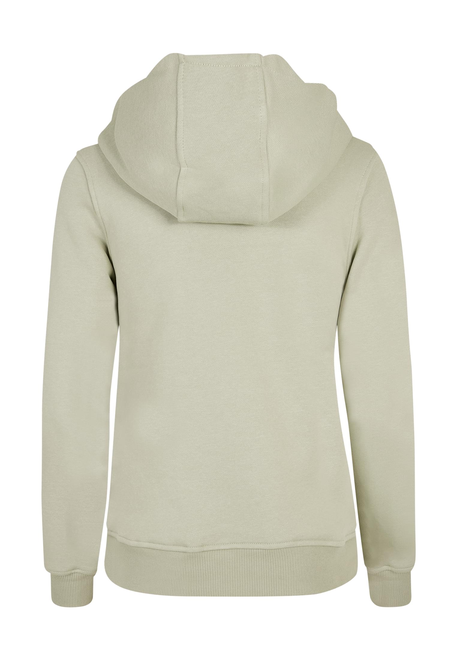 Euphoria Hoody softsalvia 3XL - variant image 1